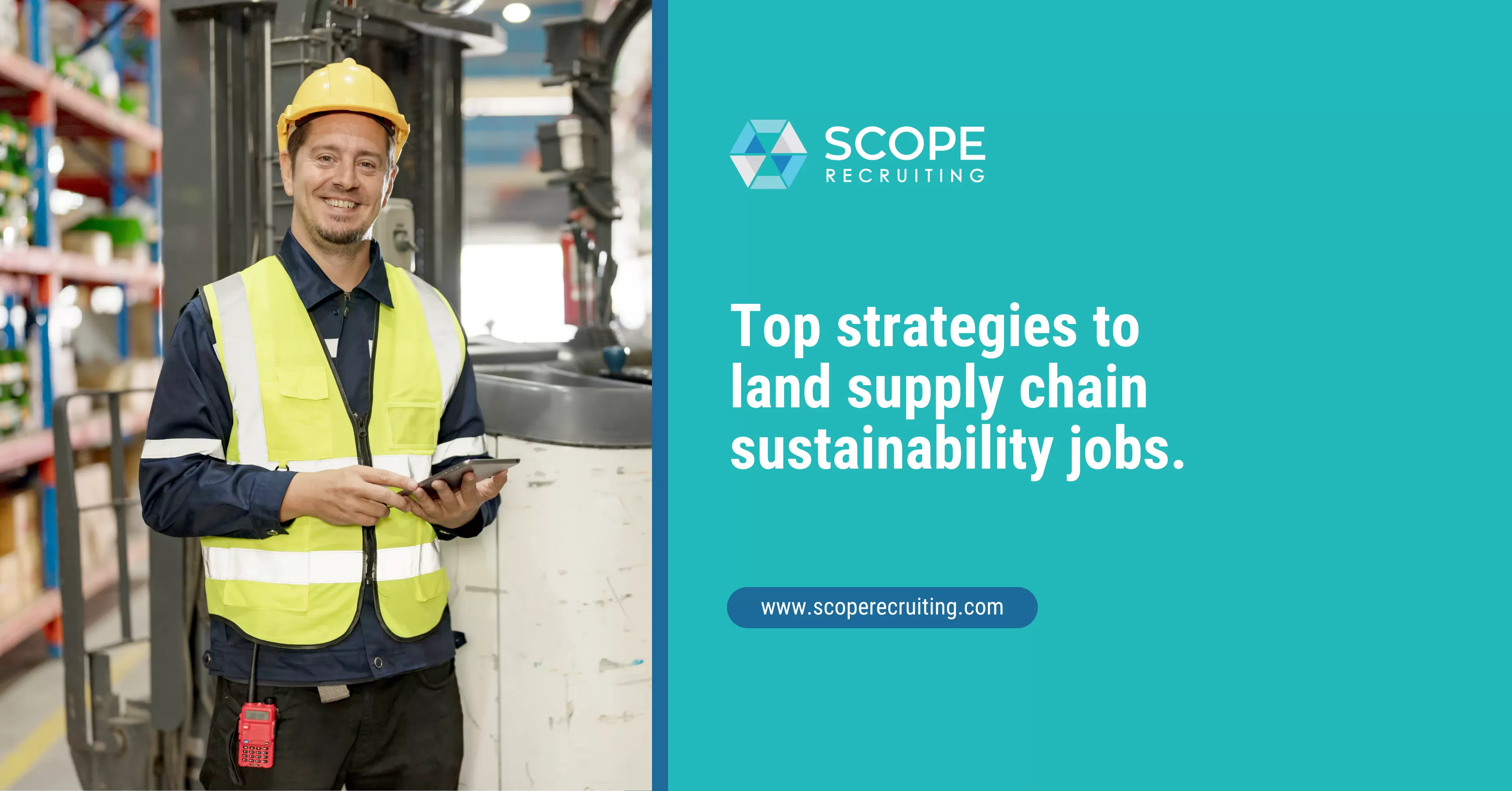 A Complete Guide to the Best Supply Chain Sustainability Jobs