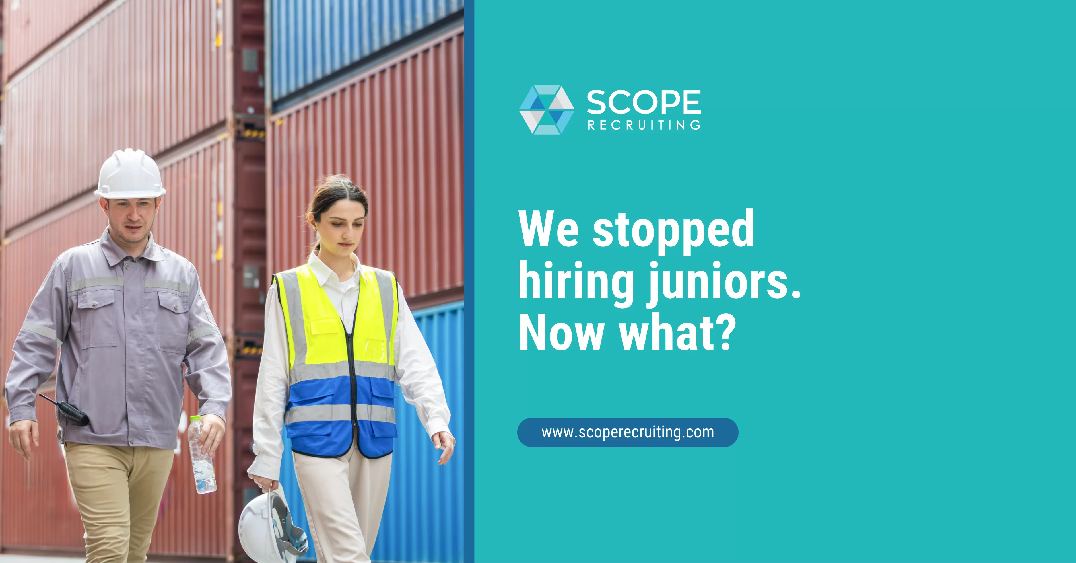 The Cost of Automating Entry-Level Roles