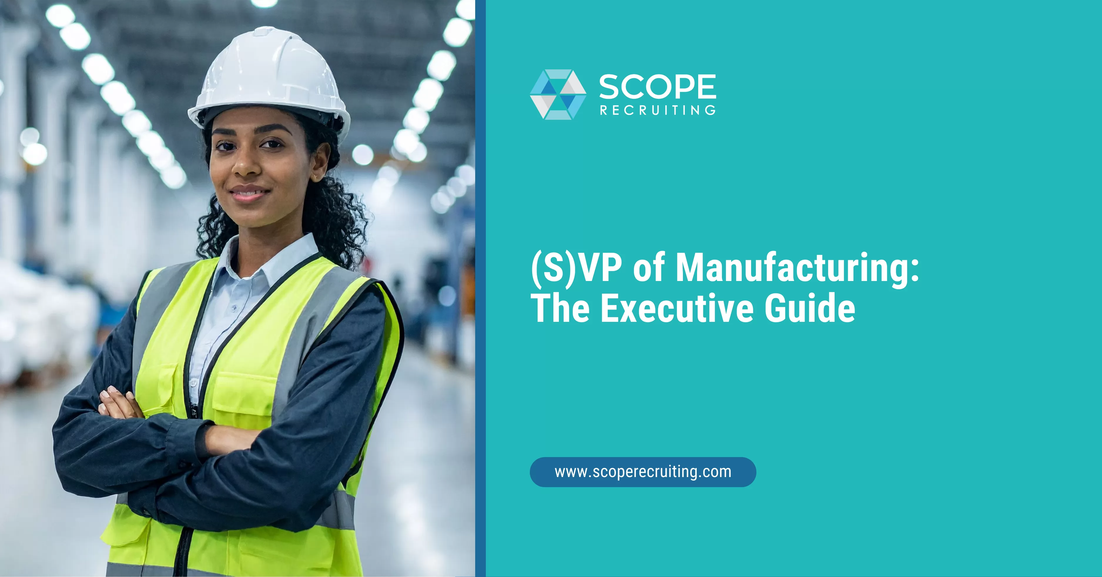 (S)VP of Manufacturing Job Description